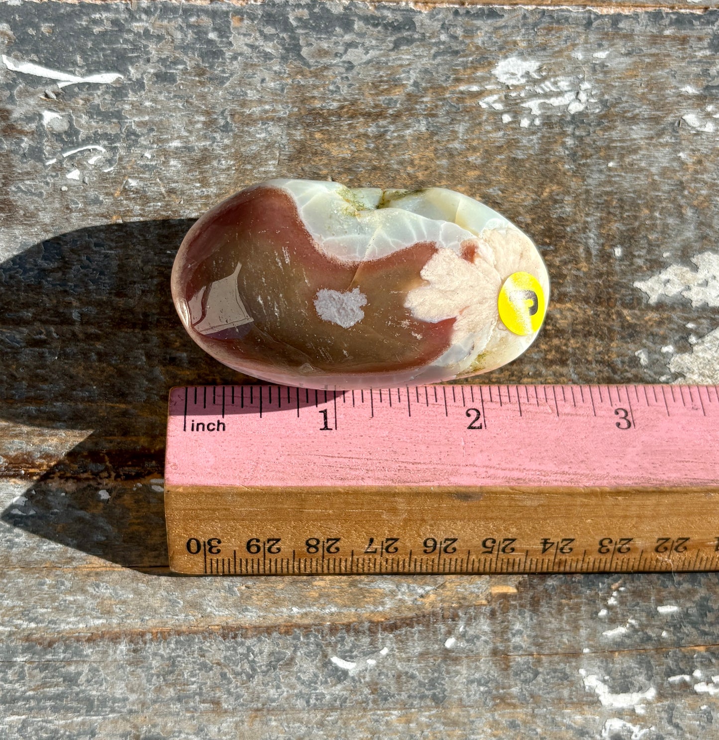 Gorgeous Green Flower Agate Palm Stone from Madagascar | Opt J