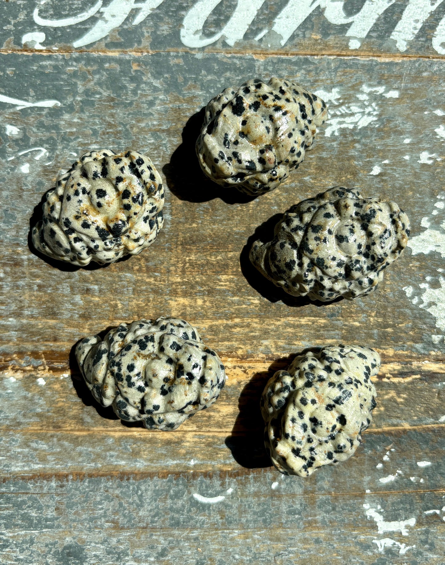 One (1) Dalmation Jasper Pocket Money Toad | Intuitively Chosen
