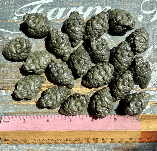 One (1) Pyrite Pocket Money Toad | Intuitively Chosen