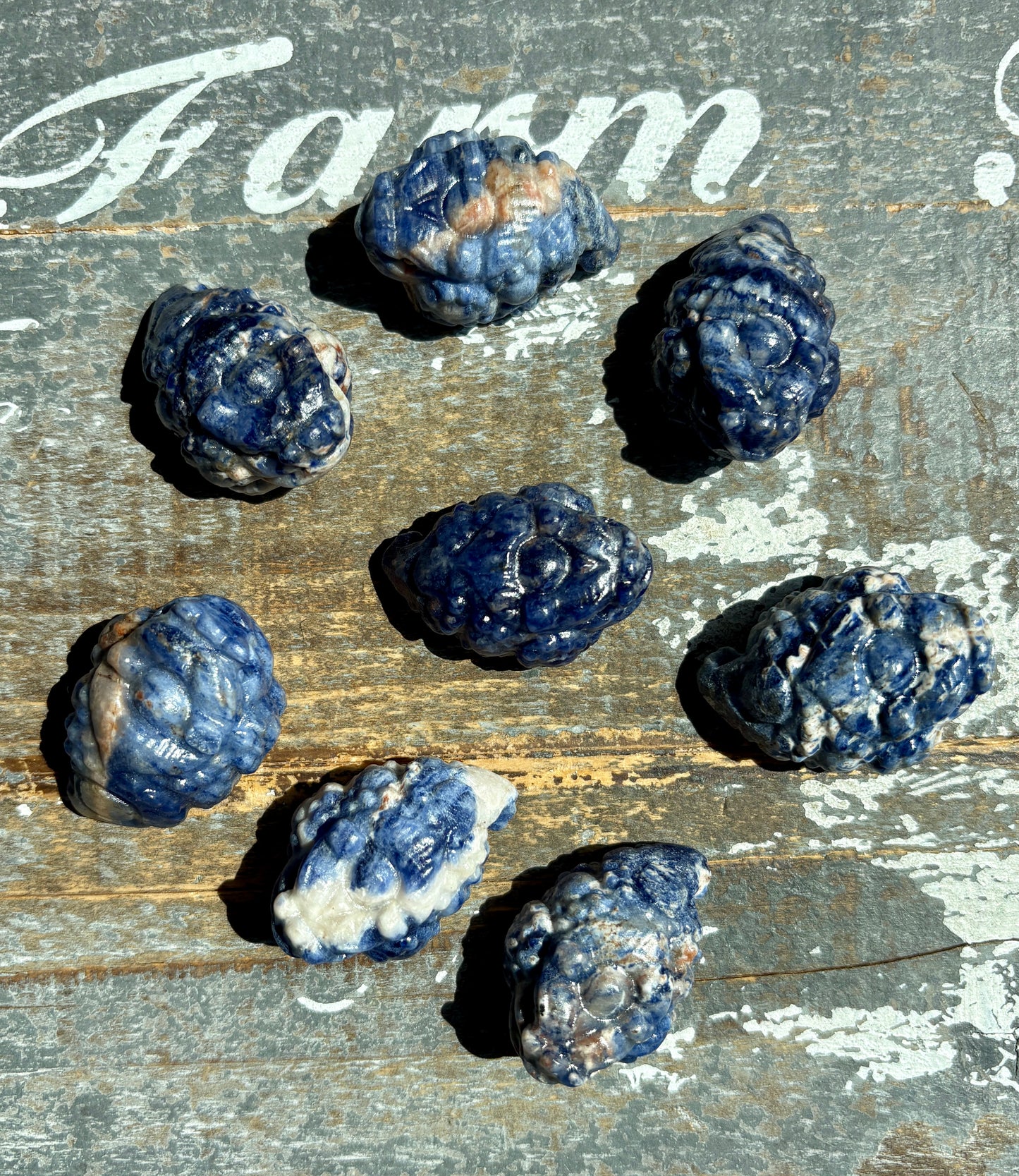 One (1) Blue Sodalite Pocket Money Toad | Intuitively Chosen