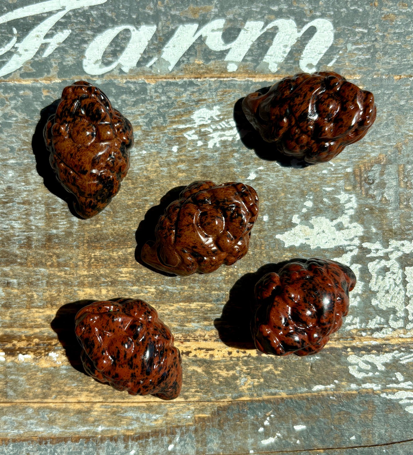 One (1) Mahogany Obsidian Pocket Money Toad | Intuitively Chosen