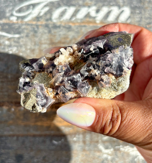 Gorgeous Yindu Fluorite with Pyrite Specimen from Mongolia | Opt L