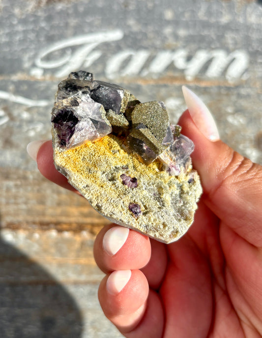 Gorgeous Yindu Fluorite with Pyrite Specimen from Mongolia | Opt I