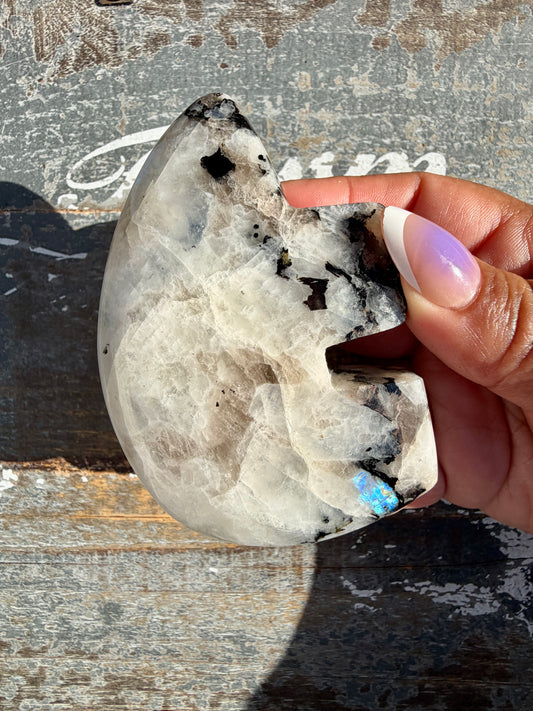 Adorable Rainbow Moonstone Bear | India | Opt 22