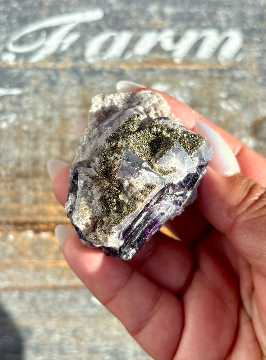 Gorgeous Yindu Fluorite with Pyrite Specimen from Mongolia | Opt K
