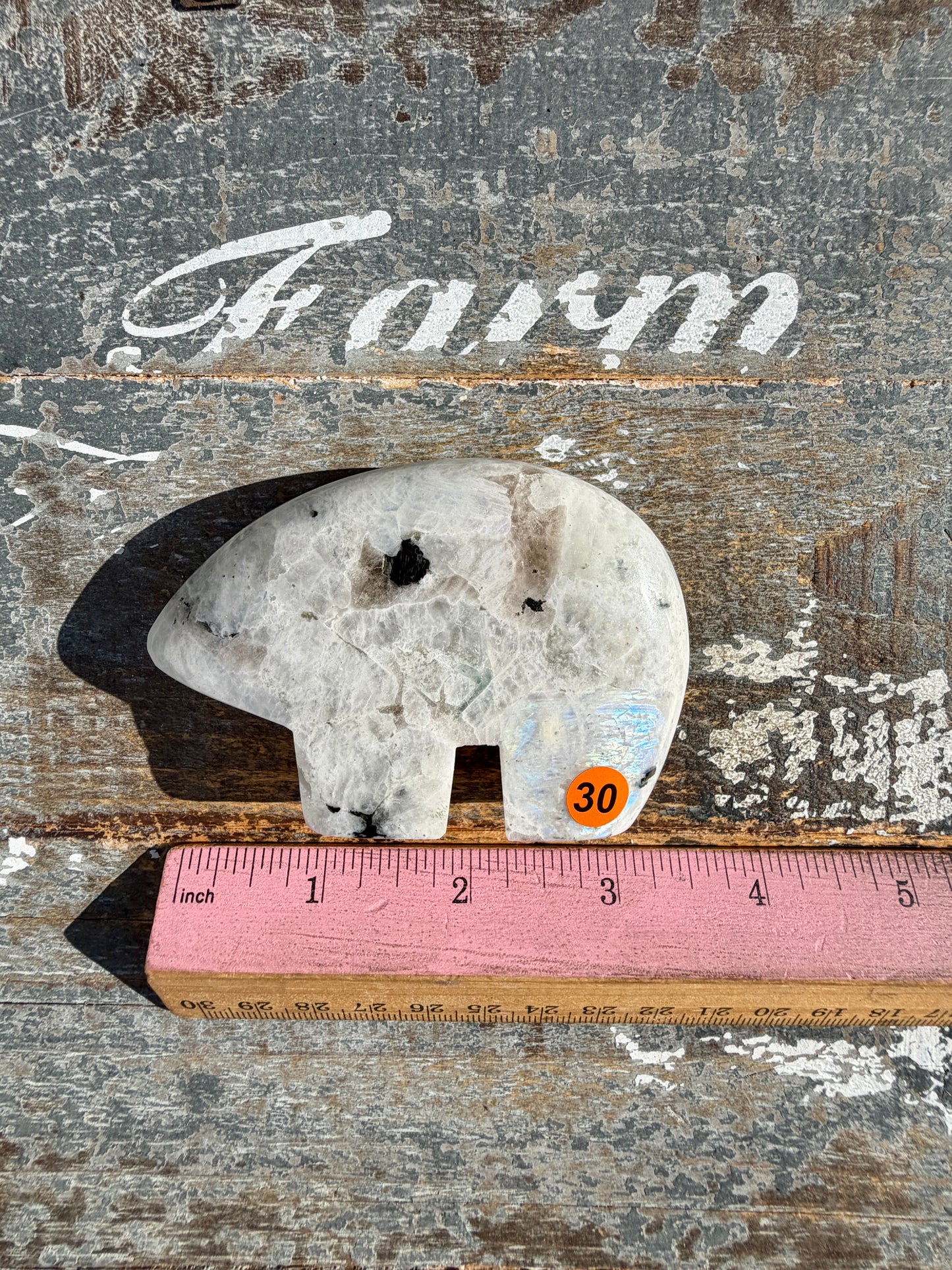 Adorable Rainbow Moonstone Bear | India | Opt 30