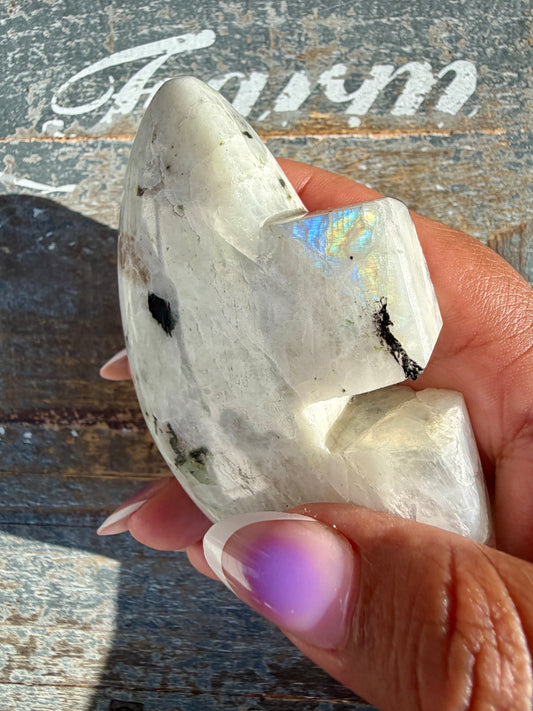 Adorable Rainbow Moonstone Bear | India | Opt 32