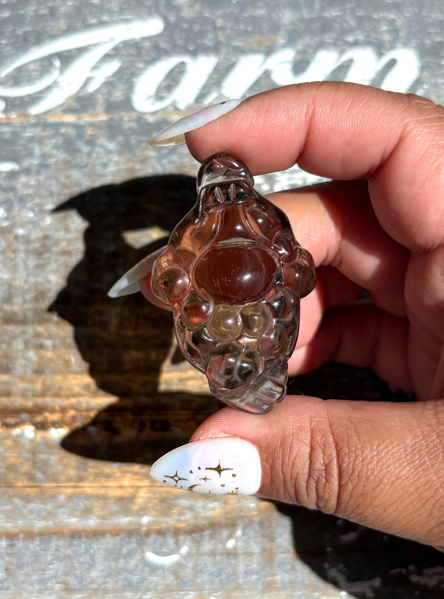 Gorgeous Natural Smokey Quartz Money Toad | Money Manifester | Opt W