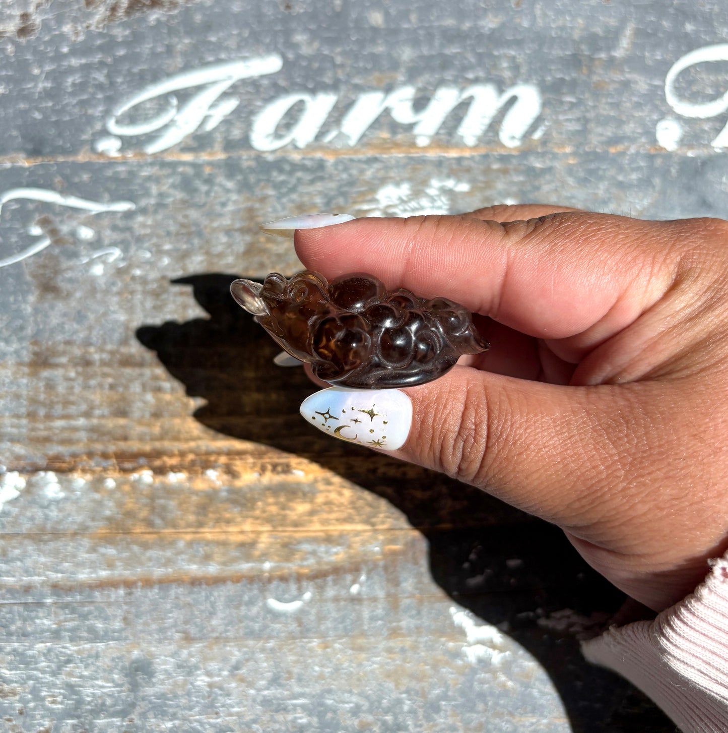 Gorgeous Natural Smokey Quartz Money Toad | Money Manifester | Opt W