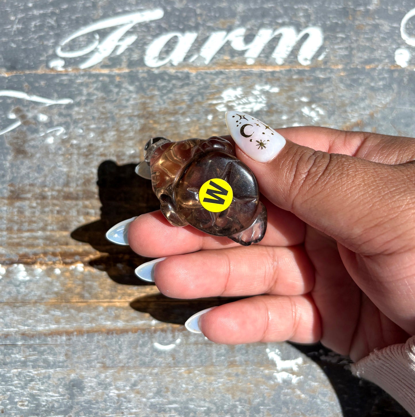 Gorgeous Natural Smokey Quartz Money Toad | Money Manifester | Opt W