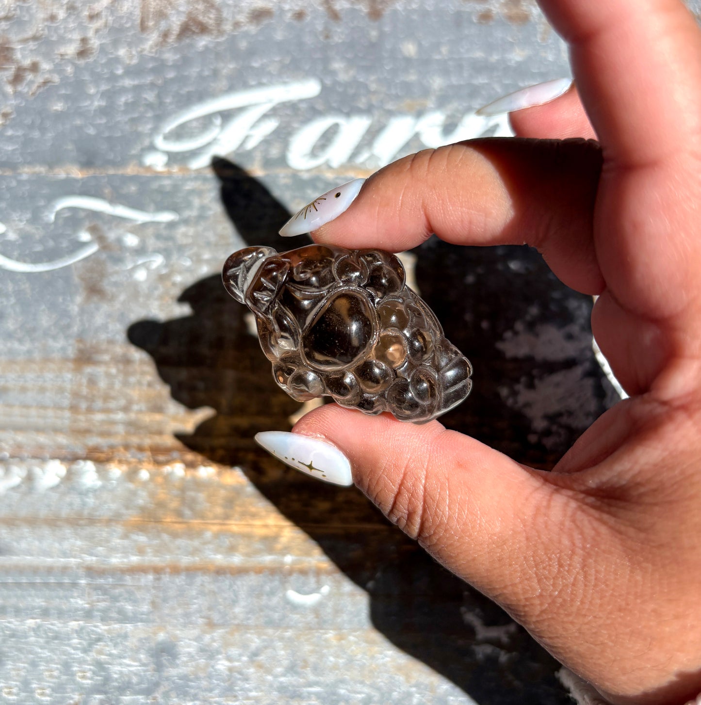 Gorgeous Natural Smokey Quartz Money Toad | Money Manifester | Opt W