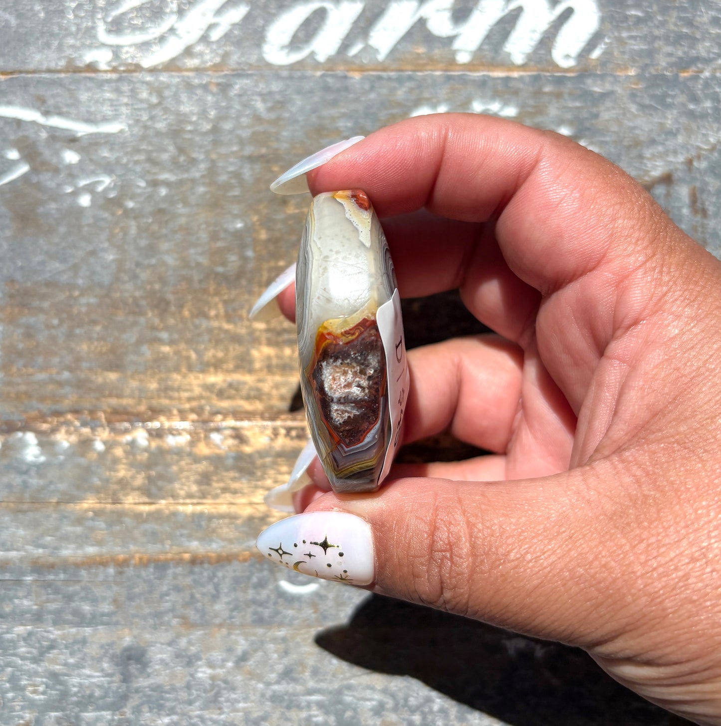 Gorgeous High Quality Crazy Lace Agate Palm Stone from Mexico | D