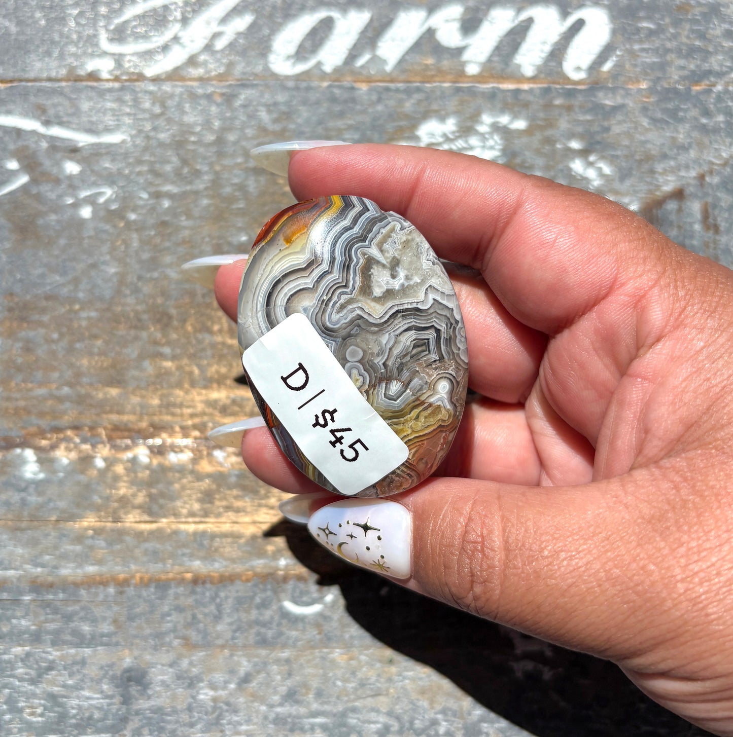 Gorgeous High Quality Crazy Lace Agate Palm Stone from Mexico | D