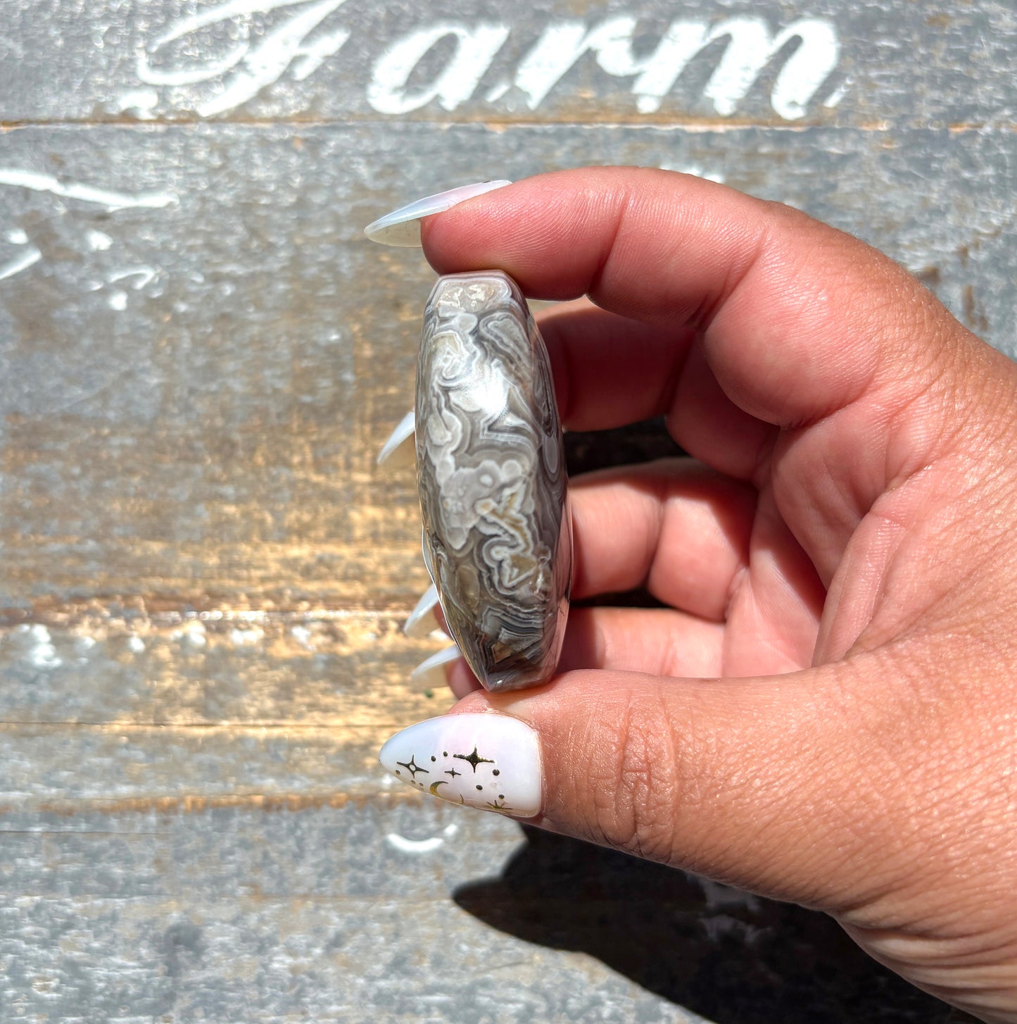 Gorgeous High Quality Crazy Lace Agate Palm Stone from Mexico | D