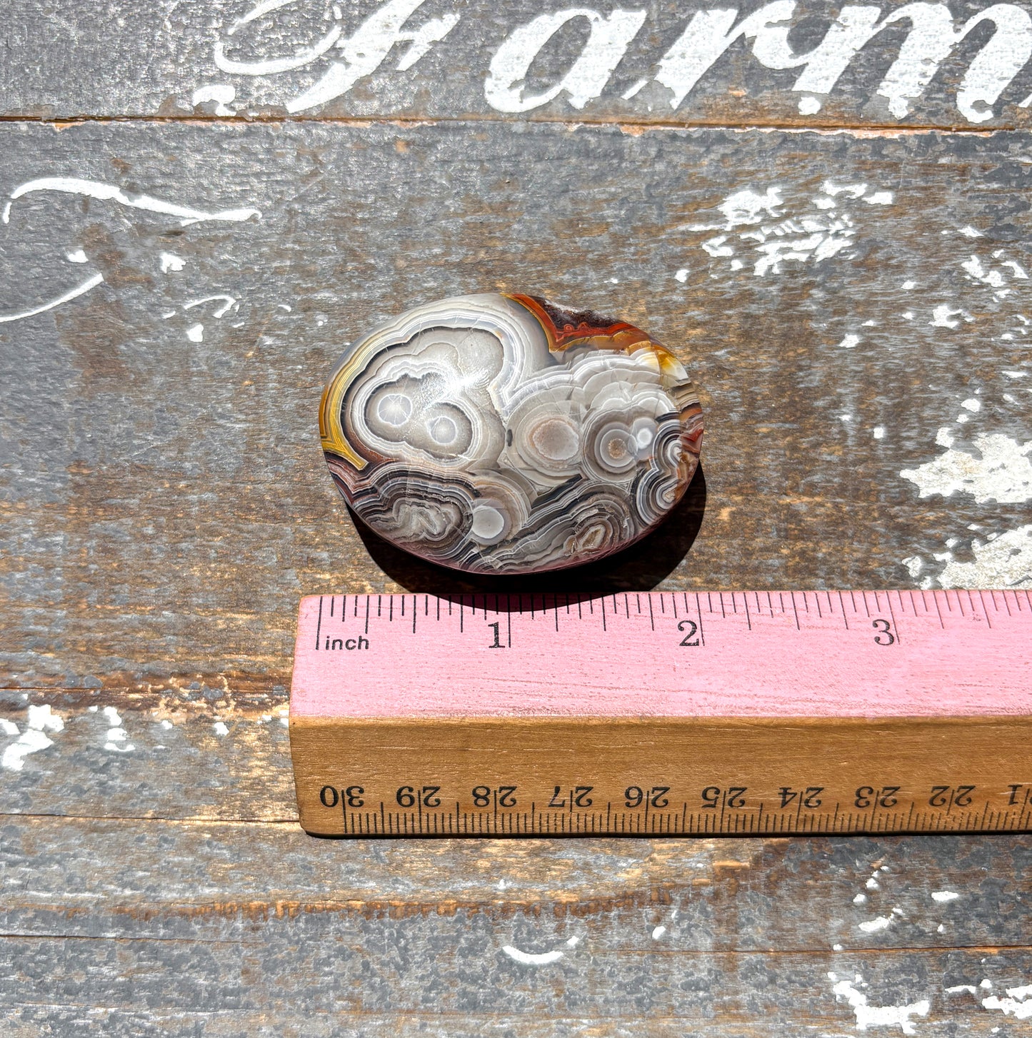 Gorgeous High Quality Crazy Lace Agate Palm Stone from Mexico | D