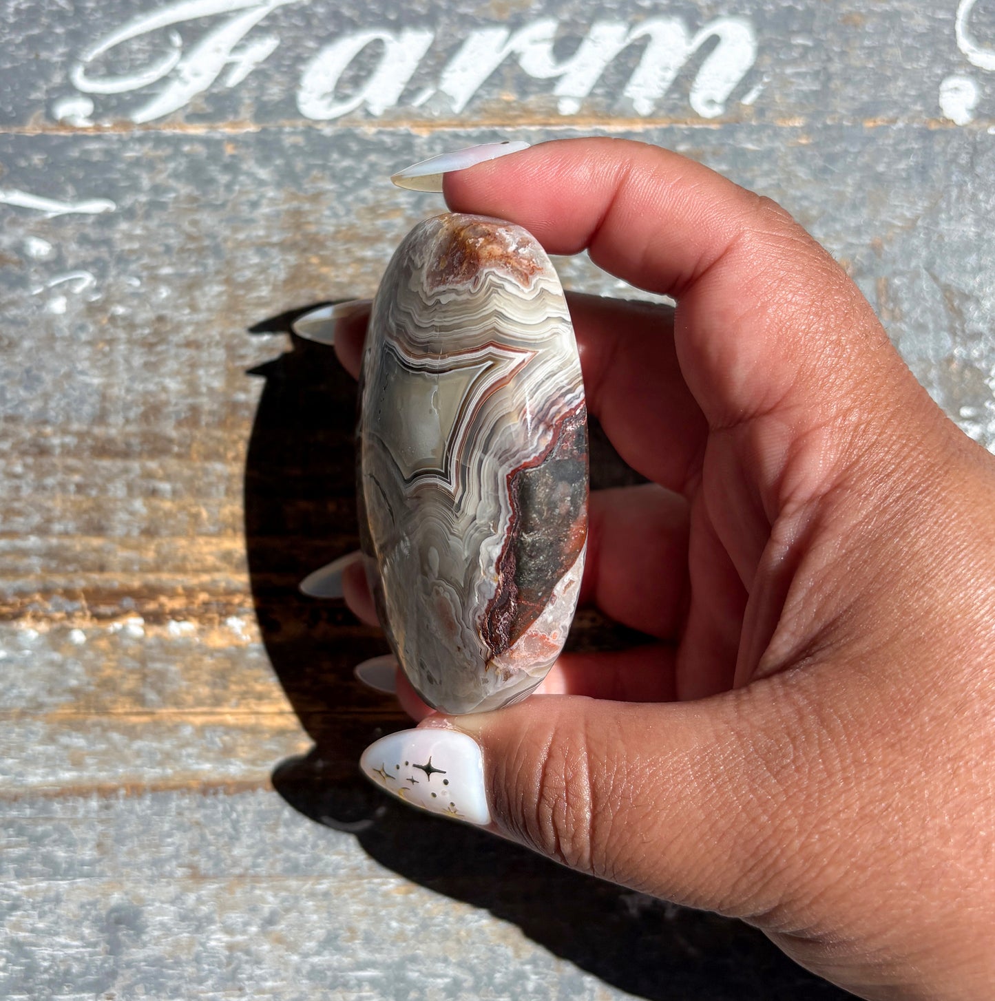 Gorgeous High Quality Crazy Lace Agate Palm Stone from Mexico | G