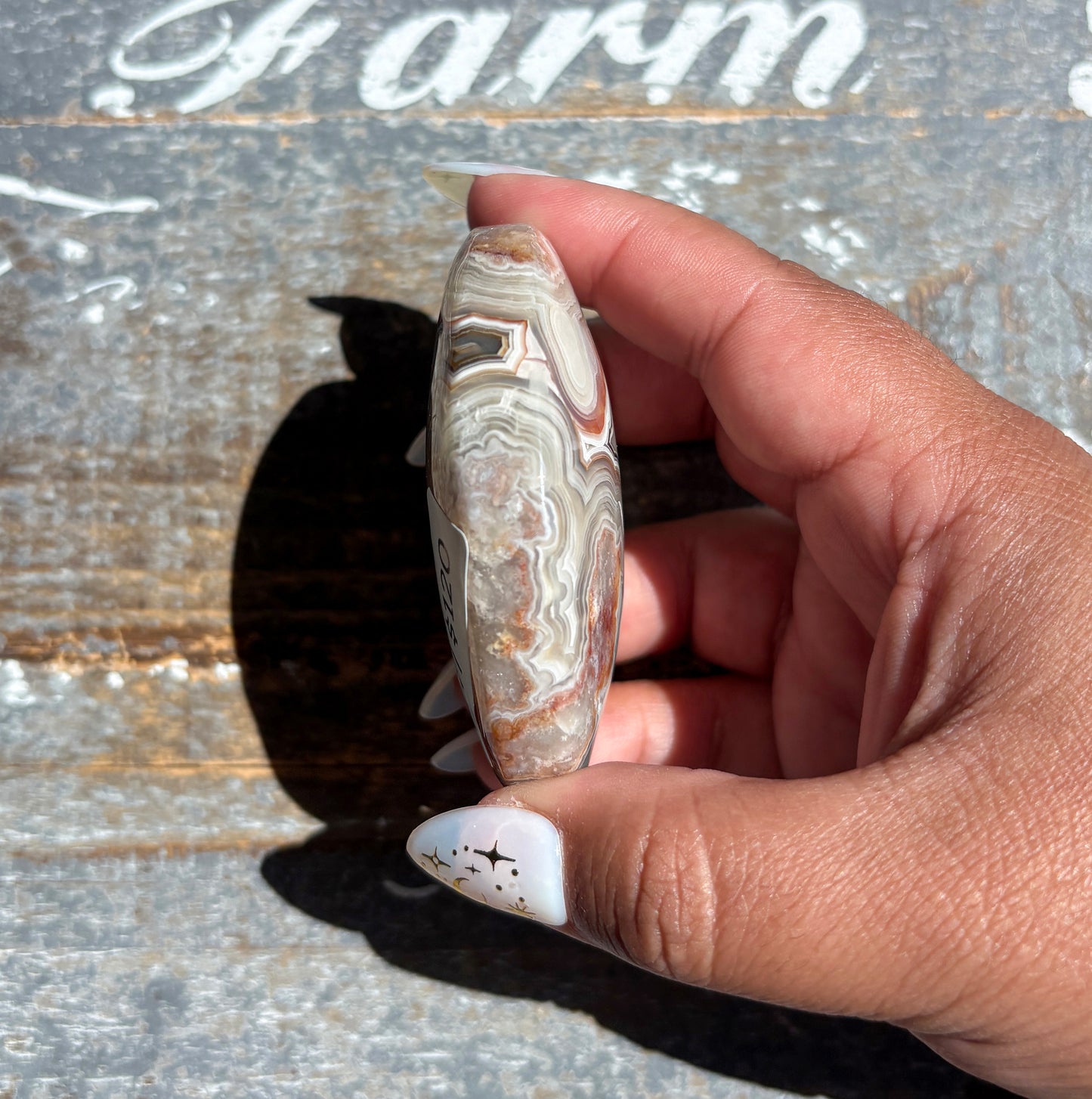 Gorgeous High Quality Crazy Lace Agate Palm Stone from Mexico | G