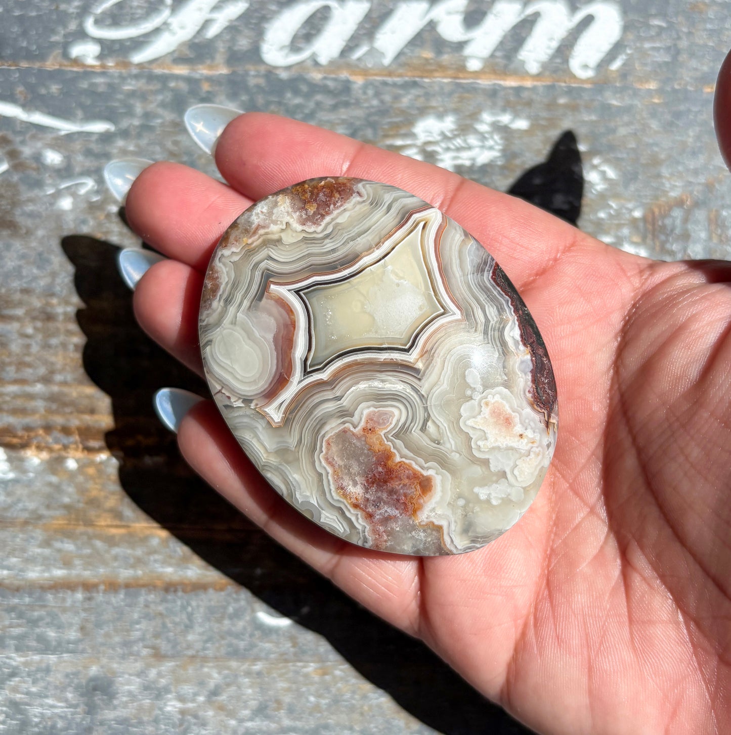 Gorgeous High Quality Crazy Lace Agate Palm Stone from Mexico | G