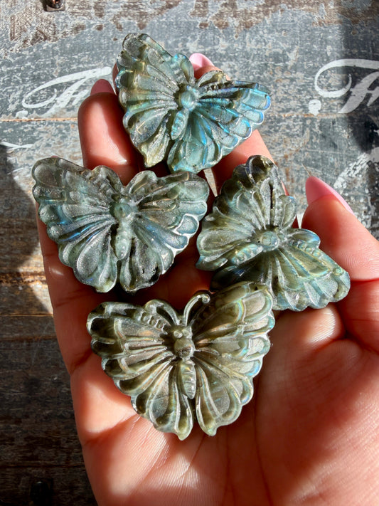 One (1) Gorgeous Labradorite Butterfly