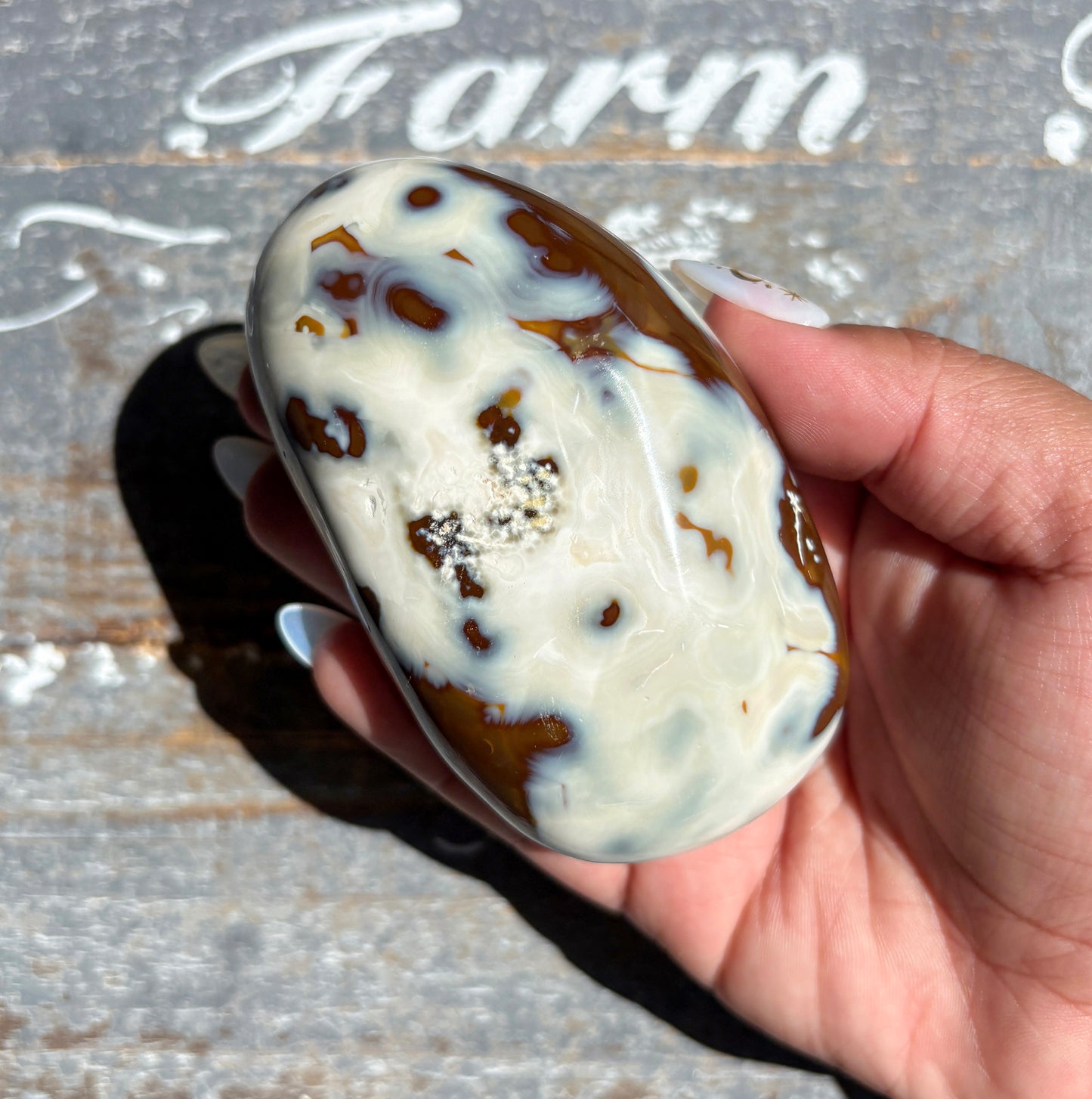 Gorgeous Orca Agate Freeform From Madagascar | E