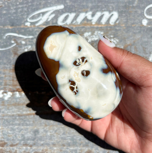 Gorgeous Orca Agate Freeform From Madagascar | E