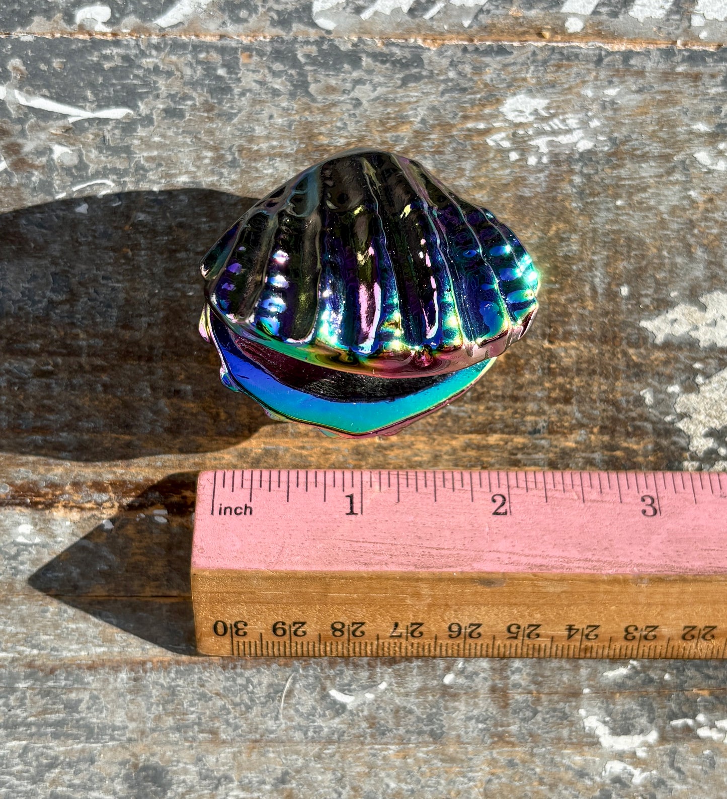 Gorgeous Aura Clam | Opt H