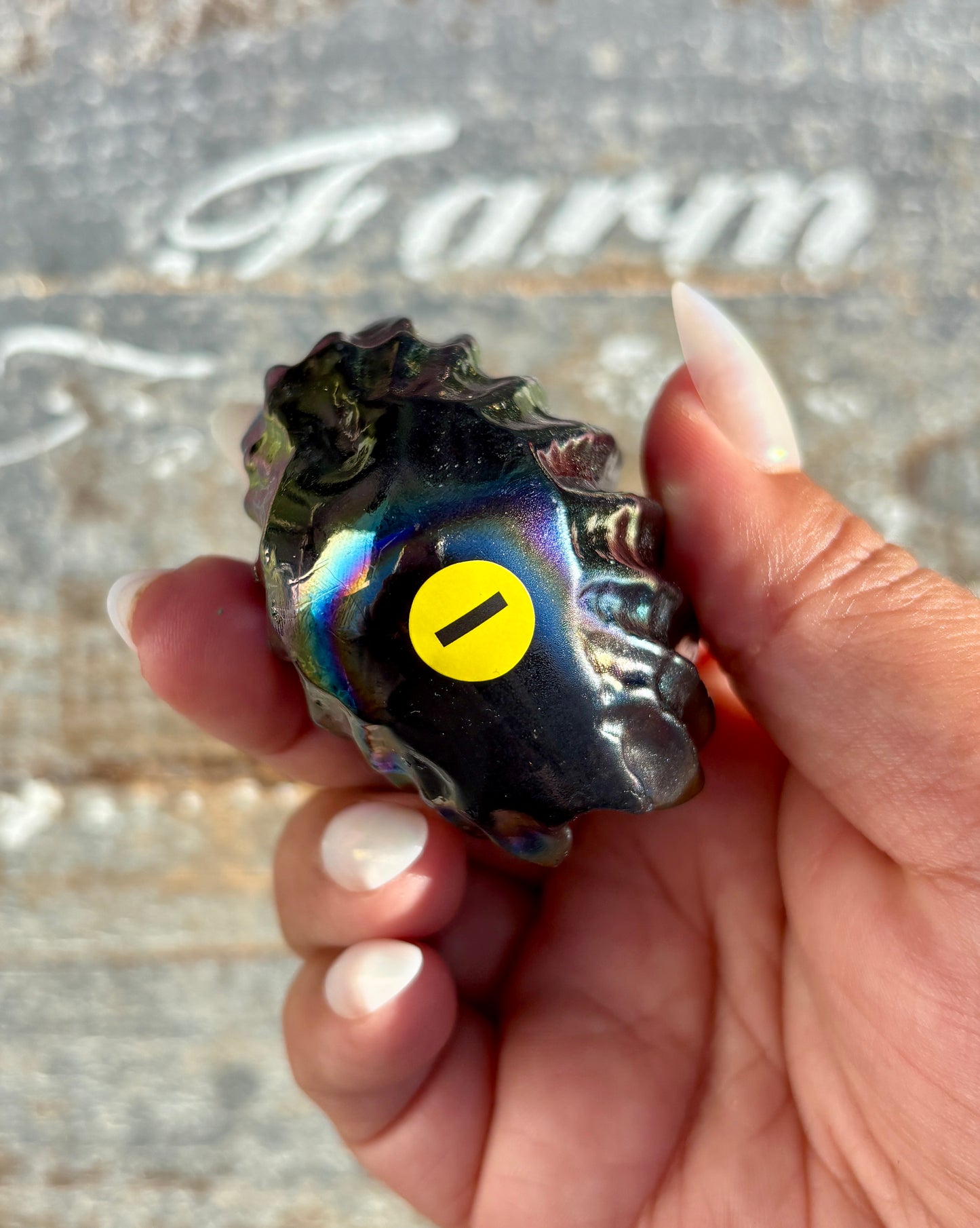 Gorgeous Aura Clam | Opt I