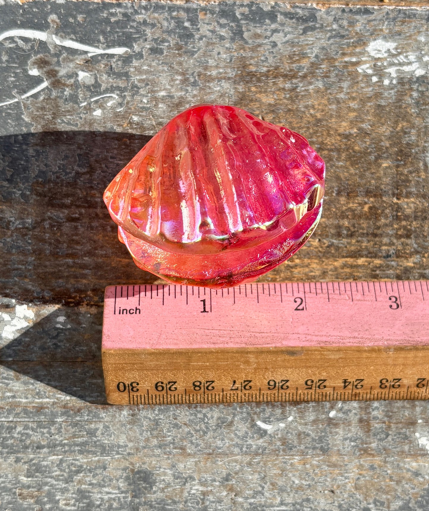 Gorgeous Aura Clam | Opt K