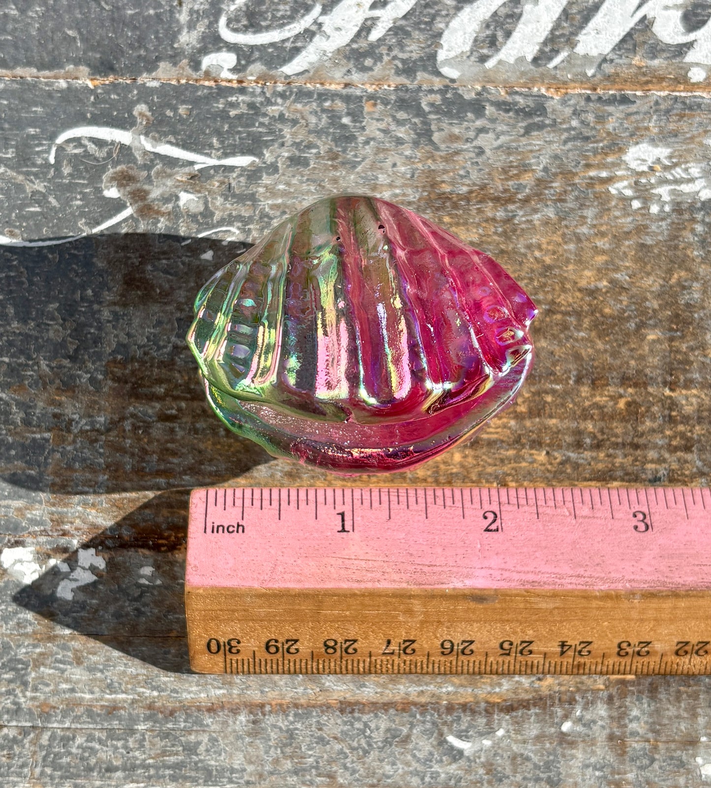 Gorgeous Aura Clam | Opt L
