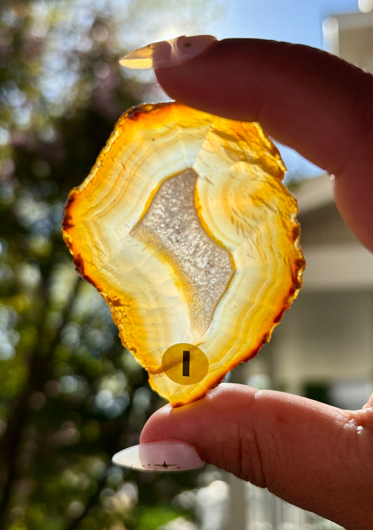 Gorgeous Rainbow Included Iris Agate Slice from Indonesia | I