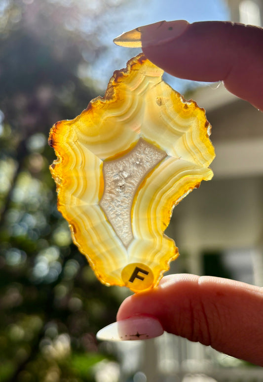 Gorgeous Rainbow Included Iris Agate Slice from Indonesia | F