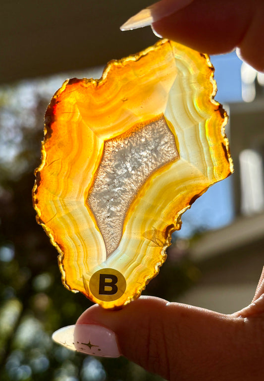 Gorgeous Rainbow Included Iris Agate Slice from Indonesia | B