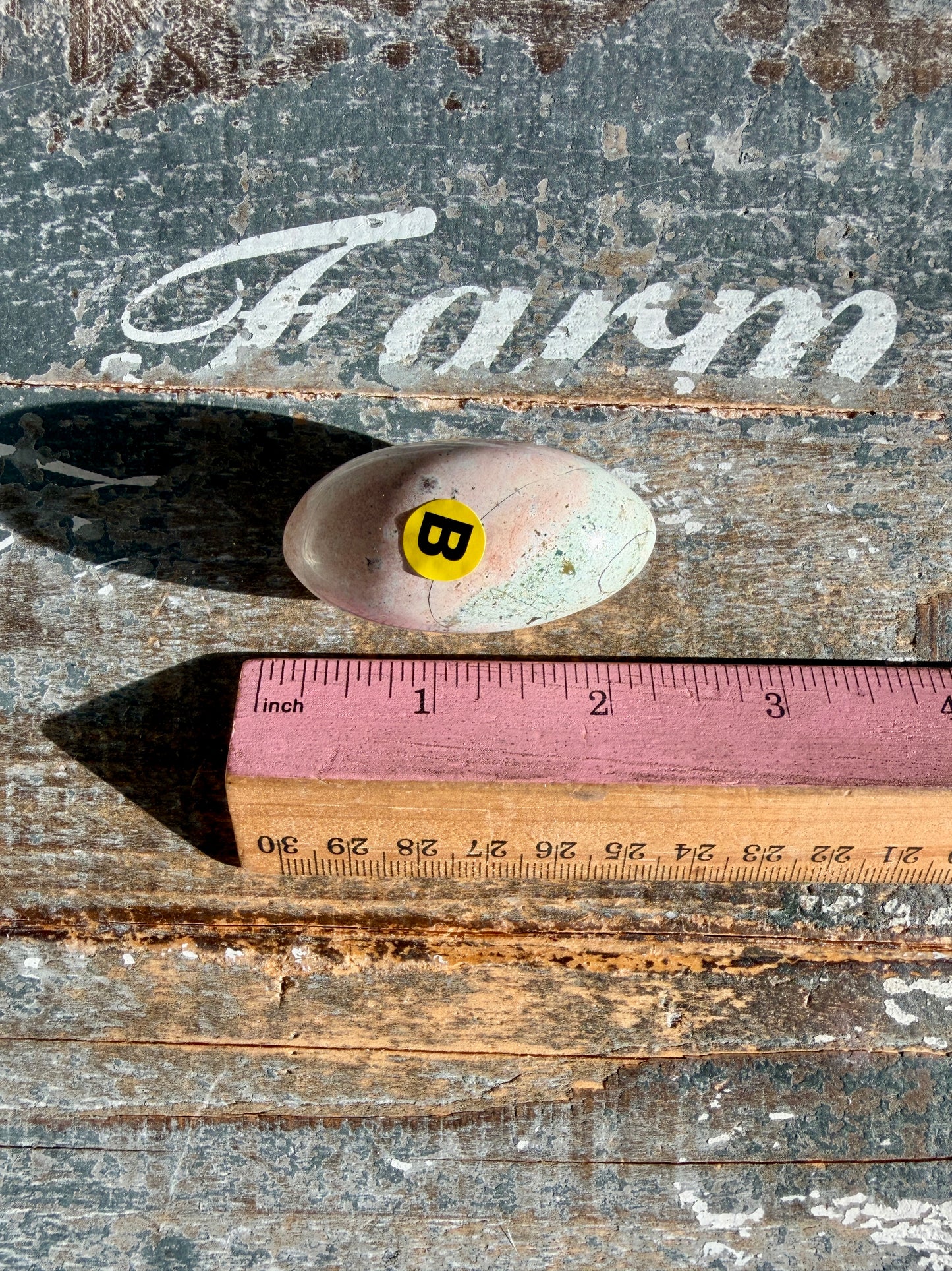 Gorgeous Unicorn Jasper Lingam from India | Opt B