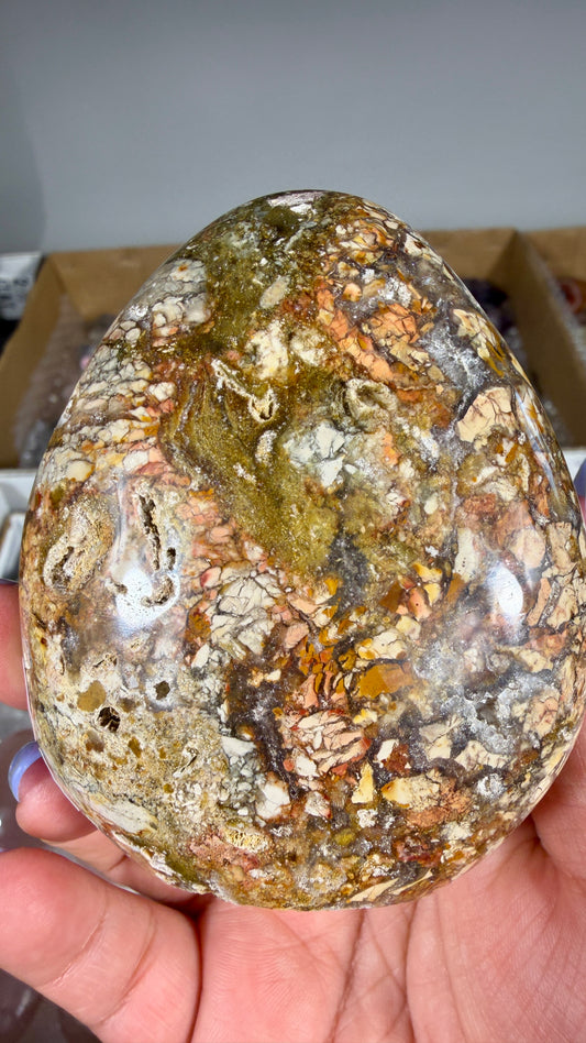 Gorgeous Ibis Jasper Freeform | Opt 27