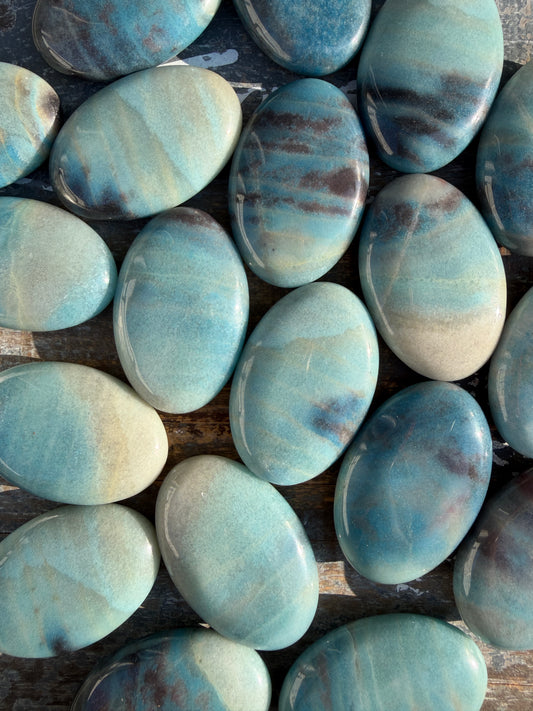 One (1) Brazilian Trolleite Palm Stone | Intuitively Chosen