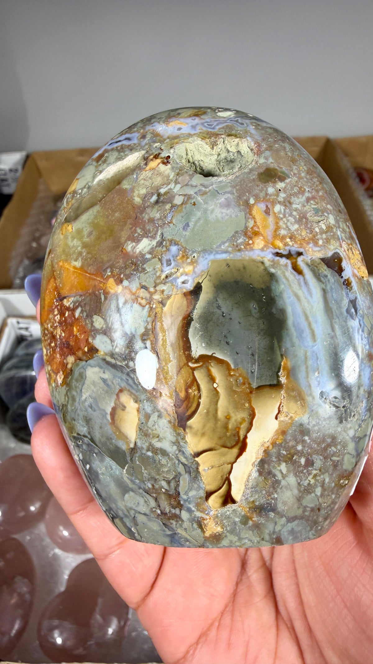 Gorgeous Ibis Jasper Freeform | Opt 25