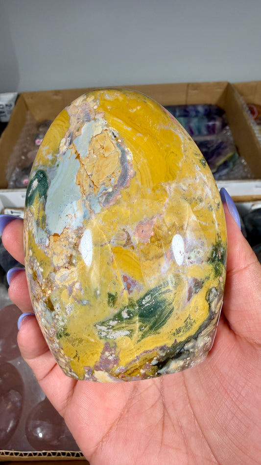 Gorgeous Ibis Jasper Freeform | Opt 24