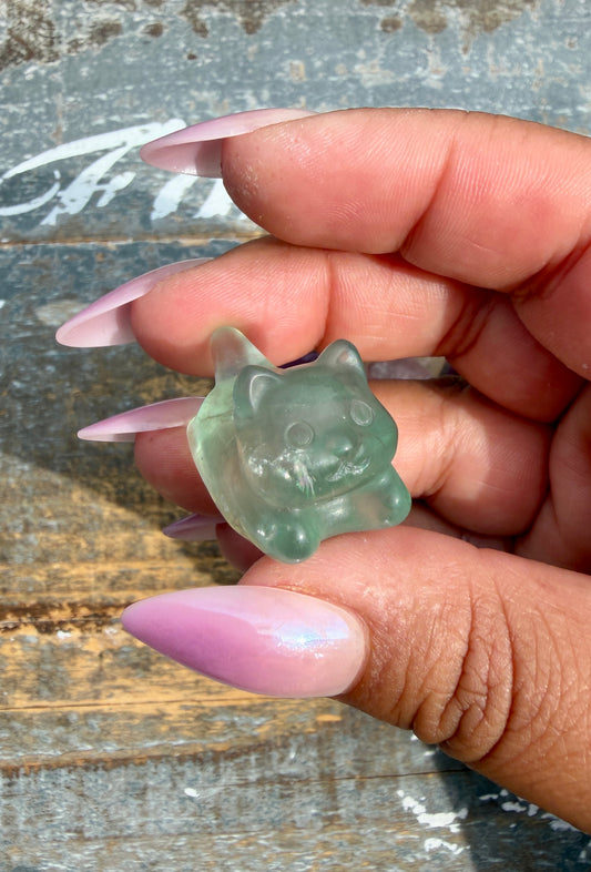 One (1) Rainbow Fluorite Flying Kitty | Intuitively Chosen