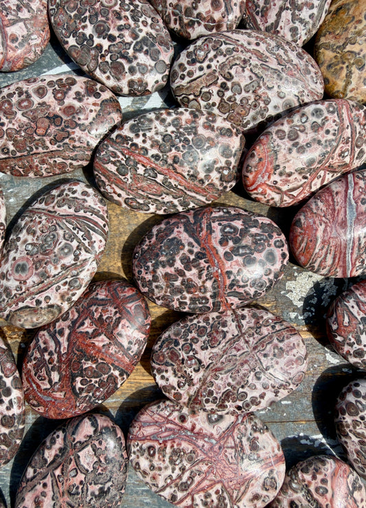 One (1) Leopard Skin Jasper Palm Stone | Intuitively Chosen