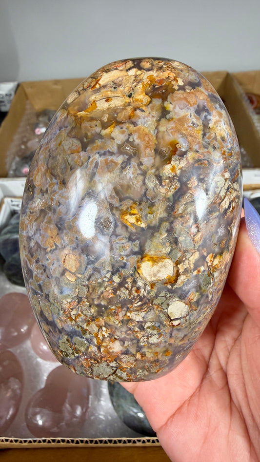Gorgeous Ibis Jasper Freeform | Opt 23