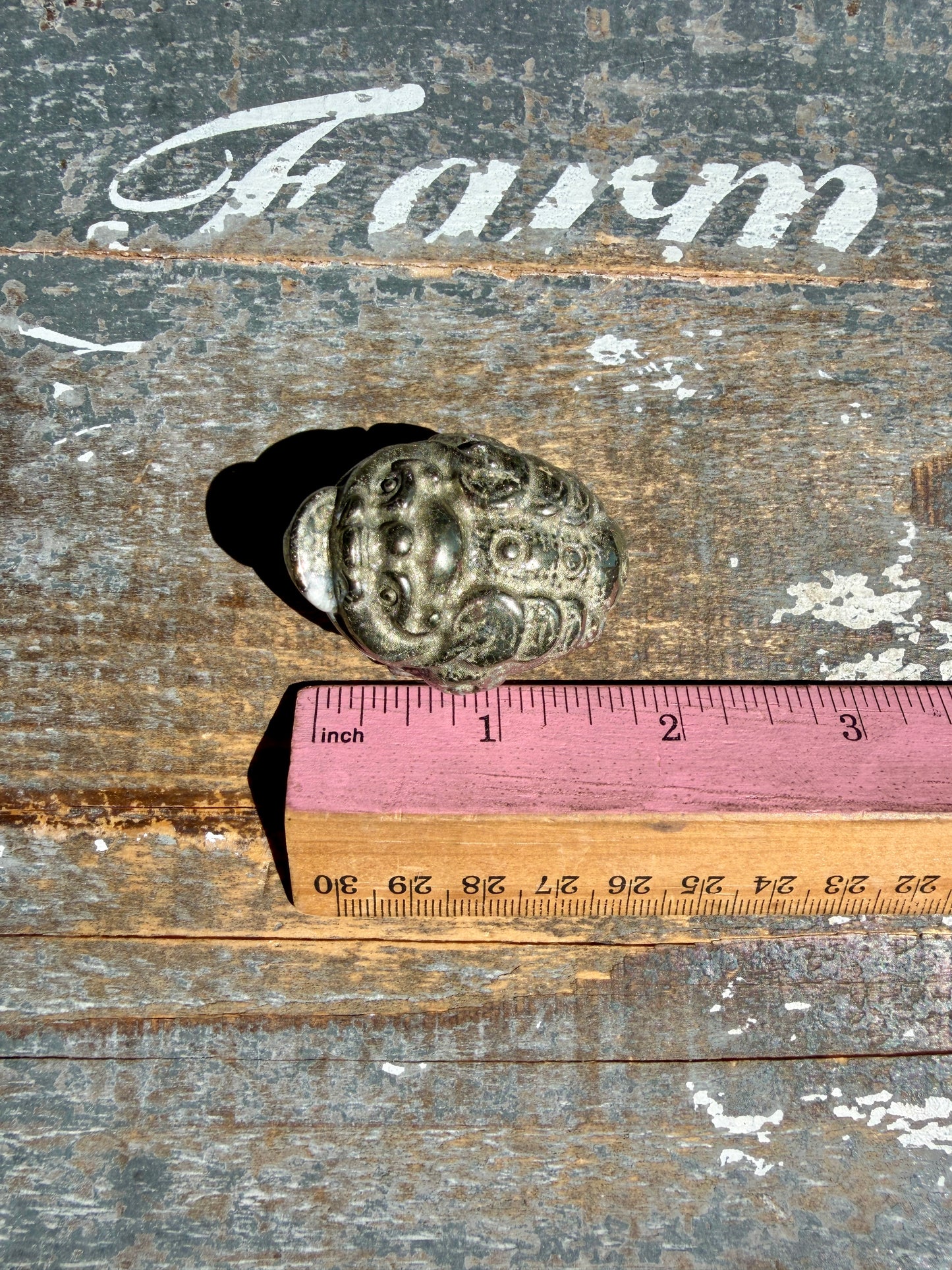 Gorgeous Pyrite Money Toad | Money Manifestation | Opt C