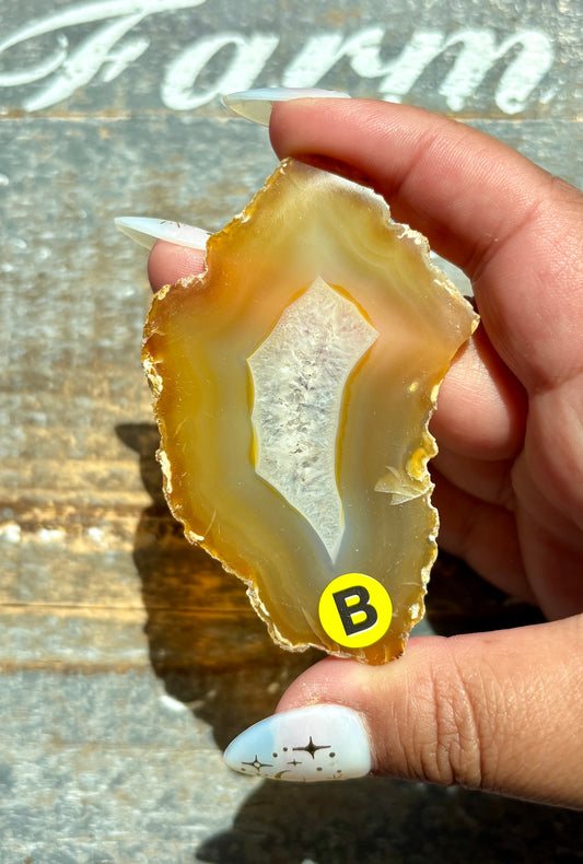 Gorgeous Rainbow Included Iris Agate Slice from Indonesia | B