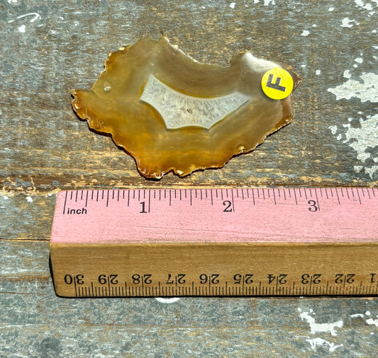Gorgeous Rainbow Included Iris Agate Slice from Indonesia | F