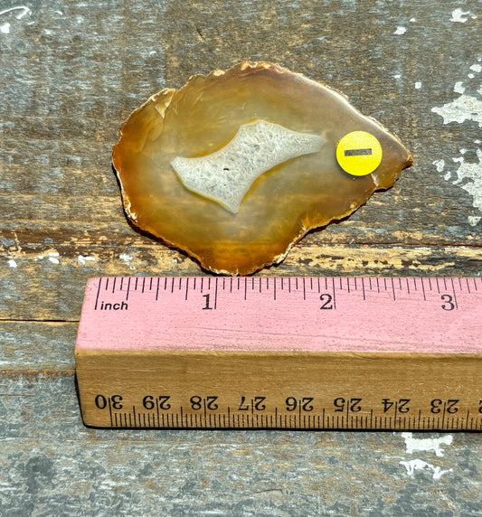 Gorgeous Rainbow Included Iris Agate Slice from Indonesia | I