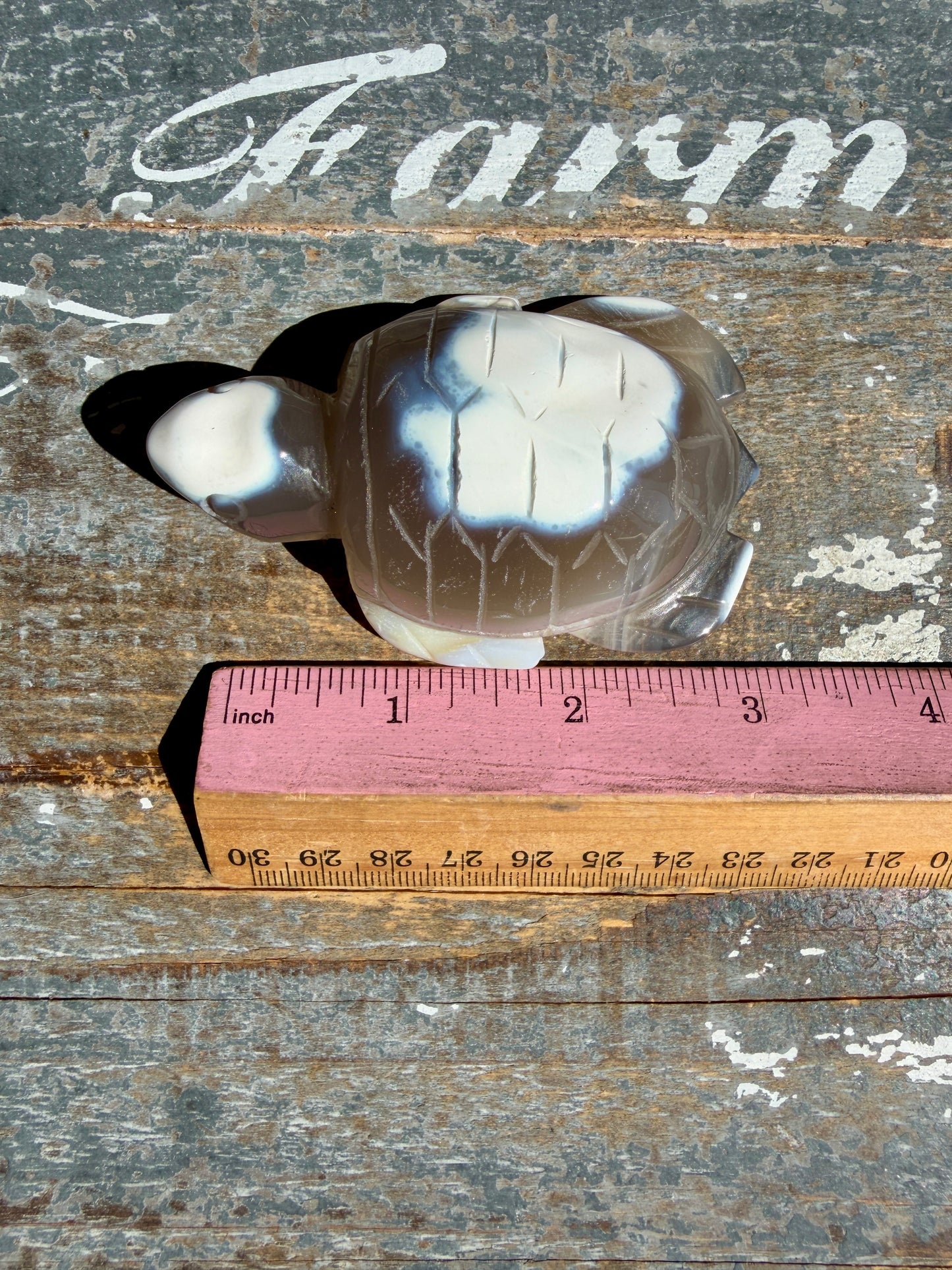 Gorgeous Orca Agate Turtle | Opt V