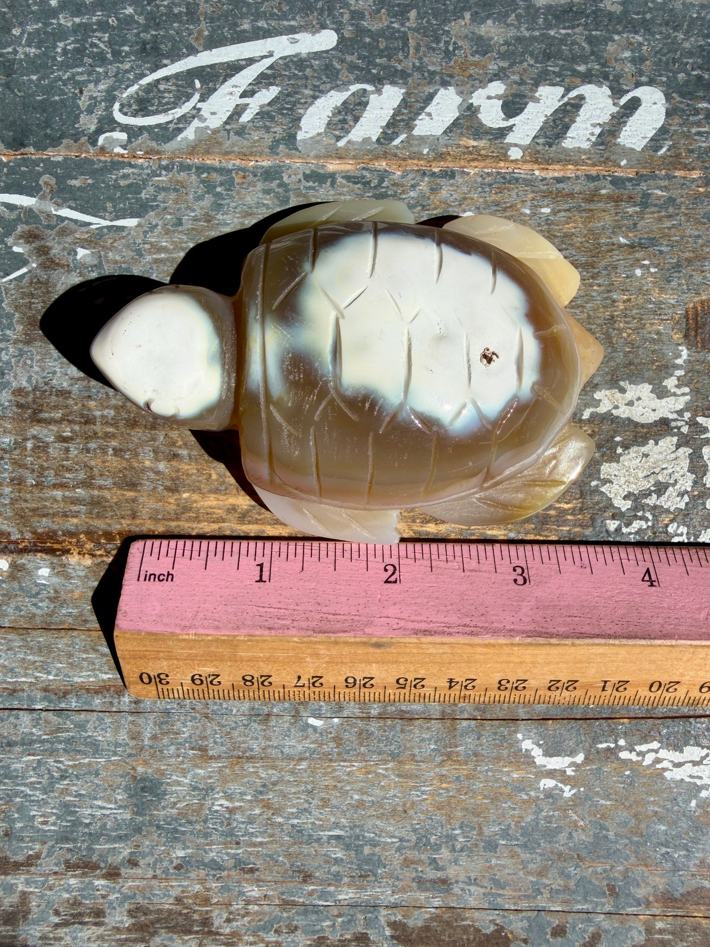 Gorgeous Orca Agate Turtle | Opt Z