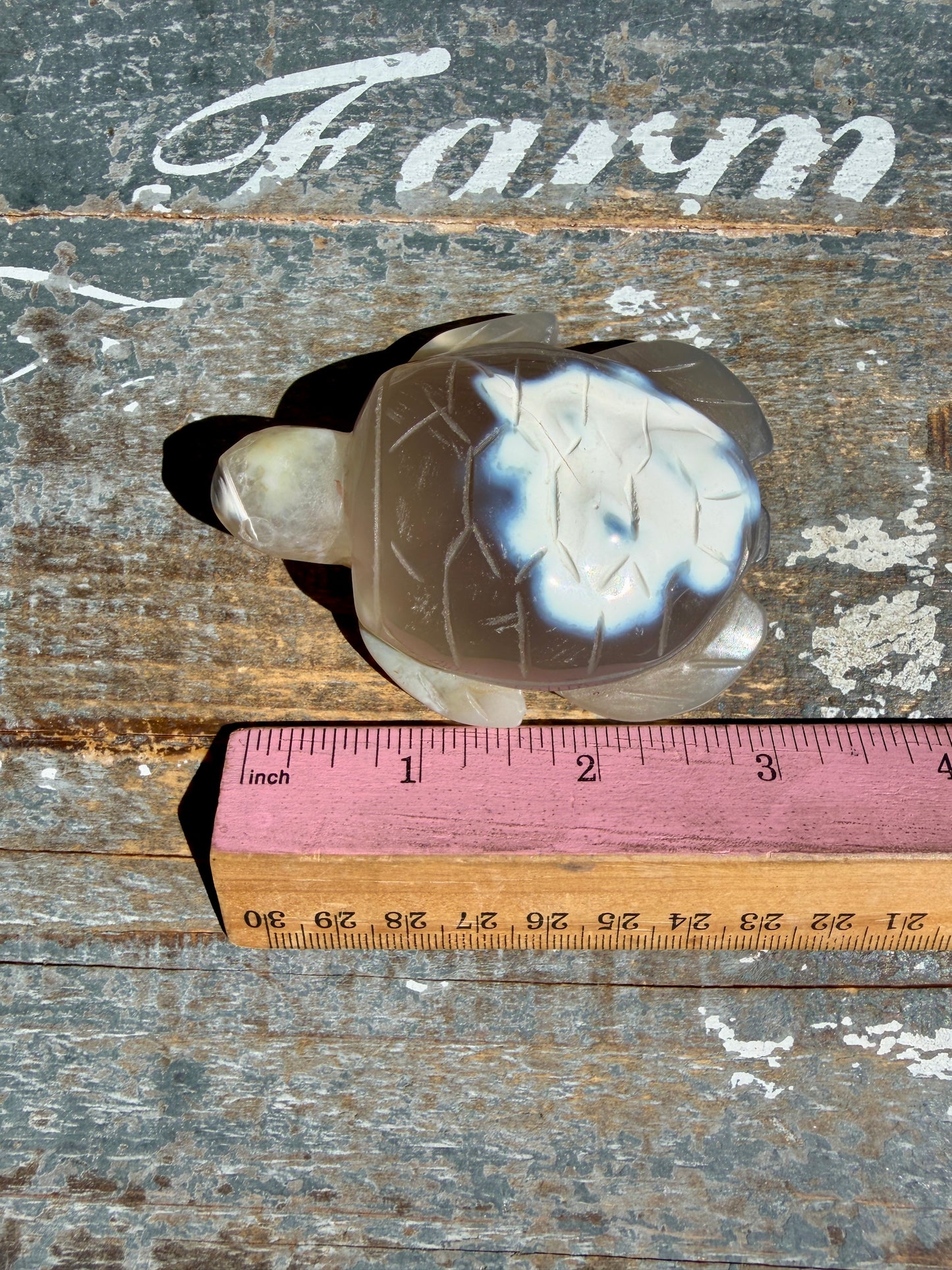 Gorgeous Orca Agate Turtle | Opt T