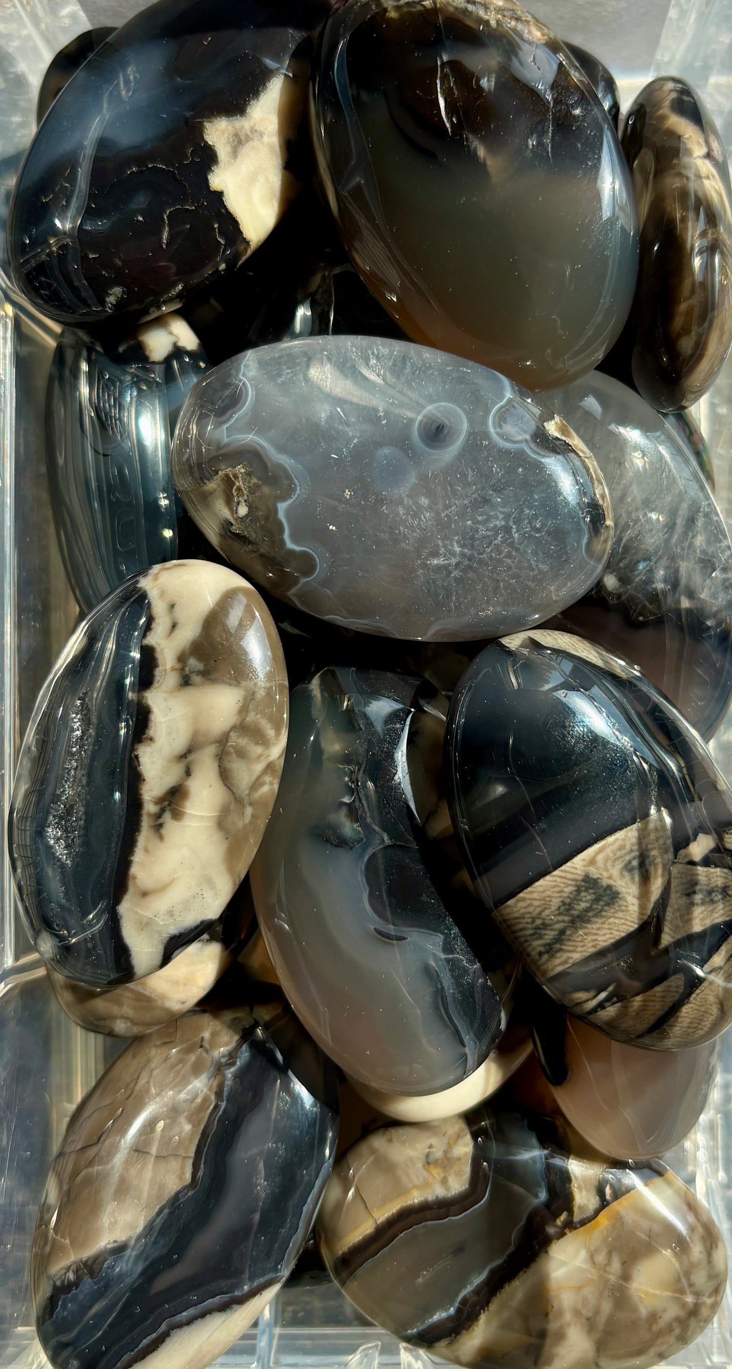 One (1) Volcano Agate Palm Stone | Intuitively Chosen
