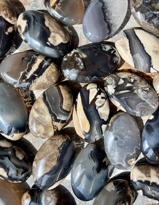 One (1) Volcano Agate Palm Stone | Intuitively Chosen