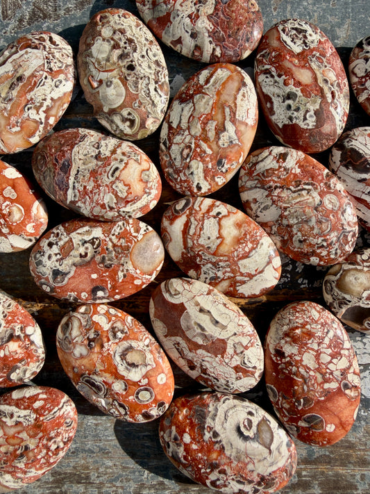 One (1) Money Agate Palmstone | Intuitively Chosen